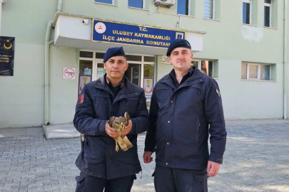 ULUBEY JANDARMASI YARALI ŞAHİNE SAHİP ÇIKTI