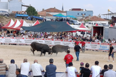 İZMİR KEMALPAŞA’DA BOĞA GÜREŞLERİ FESTİVALİ 2. KEZ YAPILDI