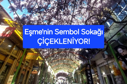 Eşme'nin sembol sokağında ki sarmaşıklar çiçekleniyor