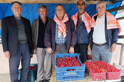 GÖRDES BÖREZ KİRAZ ŞENLİĞİ RENKLİ GÖRÜNTÜLERE SAHNE OLDU