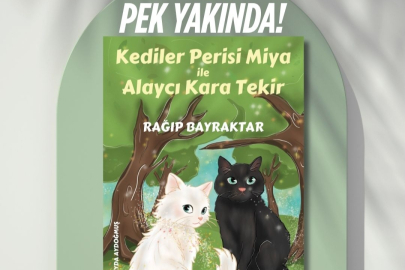 RAGIP BAYRAKTAR'IN 5.KİTABI PEK YAKINDA ONLİNE SATIŞ NOKTALARINDA