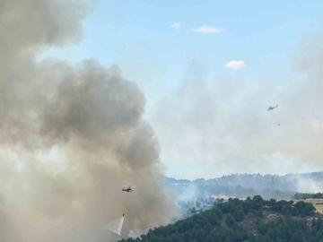 Uşak’ta ormanlık alanda çıkan yangına müdahale devam ediyor