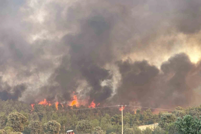 Uşak’ta devam eden orman yangınında hem tahliyeler hem de müdahale devam ediyor