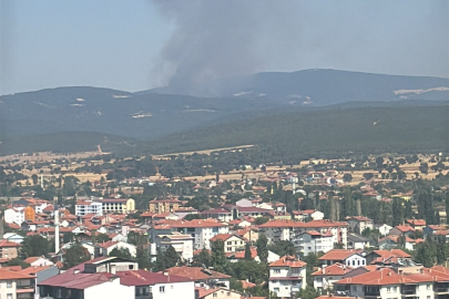BANAZ'DA BAŞLAYAN ORMAN YANGINI KONTROL ALTINA ALINMAYA ÇALIŞILIYOR