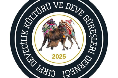 2. GELENEKSEL DEVE GÜREŞİ FESTİVALİ İZMİR BAYINDIR ÇIRPI’DA COŞKUYLA GERÇEKLEŞECEK