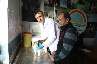 Uşak’ta kedi ve köpek sahiplerine mikroçip uyarısı