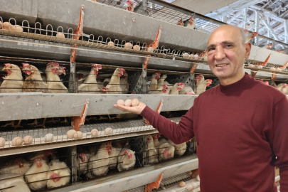 SİMAV’IN KUŞU BELDESİNDE 16 BİN TAVUKLA YUMURTA ÜRETİMİ BAŞLADI