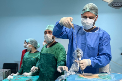 Uşak Eğitim ve Araştırma Hastanesi’nde Bilimsel ve Akademik Buluşma