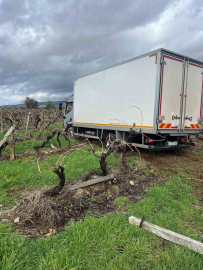 Sabıkalı yolda kamyon üzüm bağına girdi