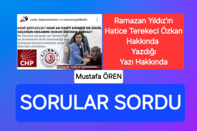 Ramazan Yıldız’ın Hatice Terekeci Özkan yazısı ve sorular