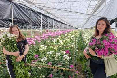 KÜTAHYA SİMAV ÇİÇEKÇİLİKTE HOLLANDA’YI ZORLUYOR