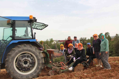 Poşusunu takan Kaymakam Kuran üreticilerle birlikte kekik dikti