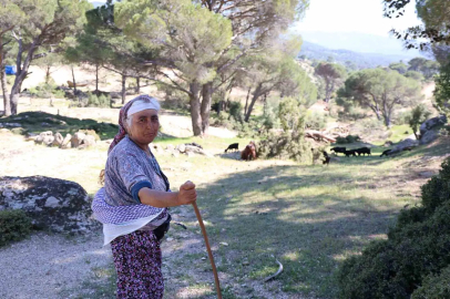 Beşparmak Dağları’nda çobanlığı terk etmeyen sadece Rukiye bacı kaldı
